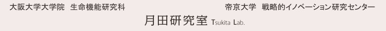 大阪大学大学院 生命機能研究科／医学系研究科 月田研究室 Tsukita Lab. ≪大学院生募集,ガン,癌,細胞接着≫