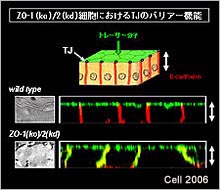 発表論文－図5