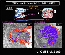 発表論文－図6