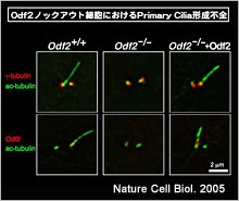 発表論文－図7