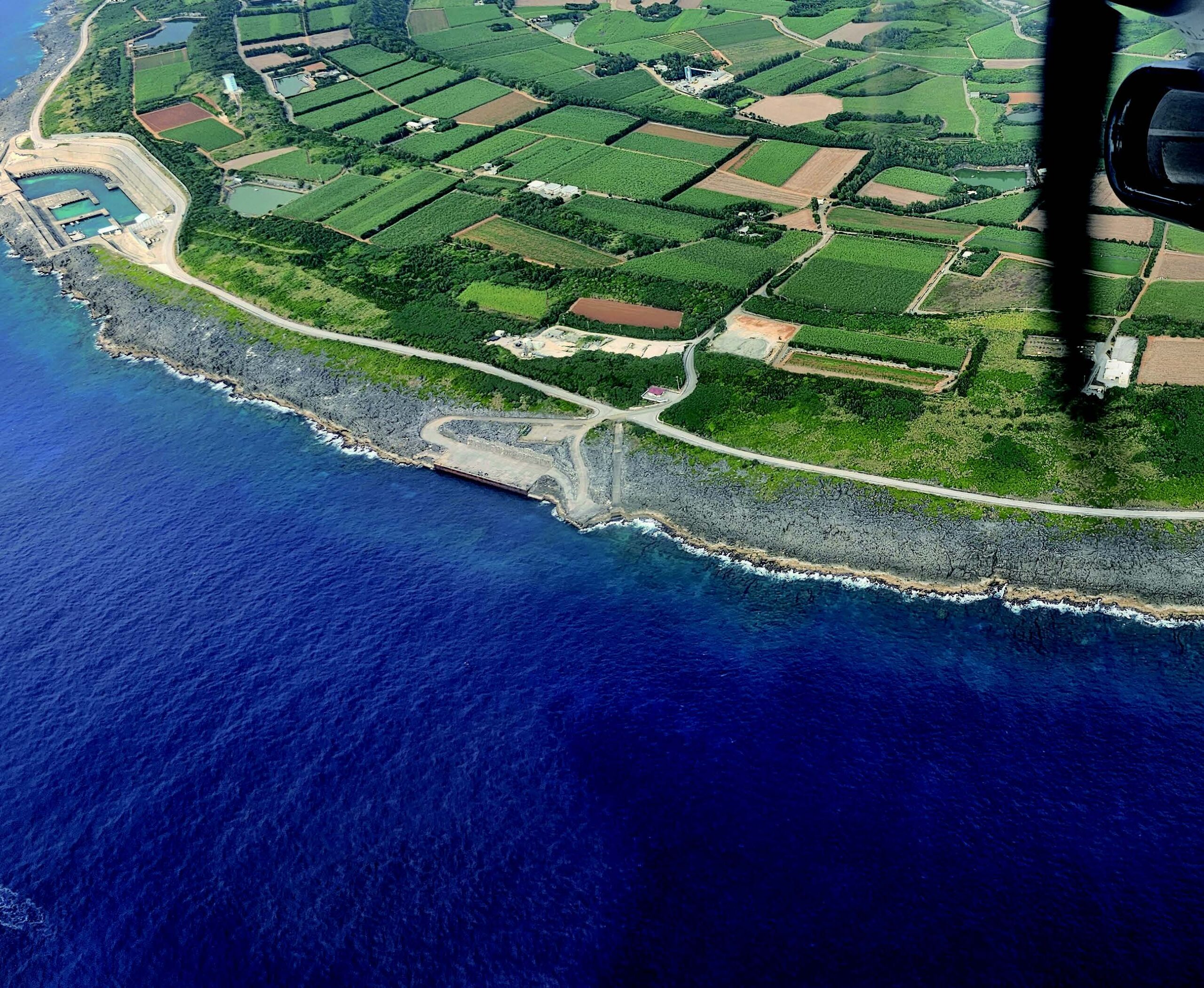 コウモリと稲妻の半幅帯　想屋 fa5eba3ba72cdc1a596b5b84f0df77