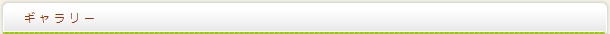 ギャラリー